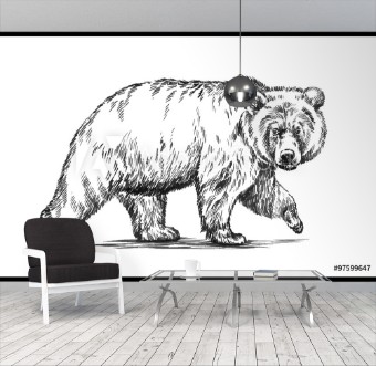 Bild på Black and white engrave isolated vector bear